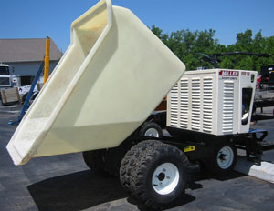 CEMENT – BUGGY 16 cf