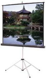 OVERHEAD PROJECTION SCREEN